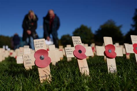 Veteran ‘humbled’ as largest field of remembrance opened by Royal ...