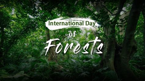 International Day Of Forests 2022: 21st March Observed