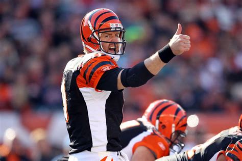 Bengals Carson Palmer wants out, threatens retirement. - Big Cat Country