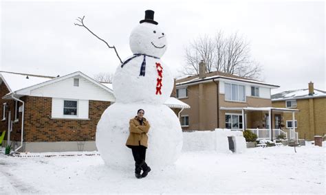 Man builds world's biggest snowman in his front garden (but why on ...