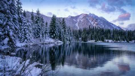 Forest Lake And Snow Covered Mountain During Winter 4K 5K HD Nature Wallpapers | HD Wallpapers ...