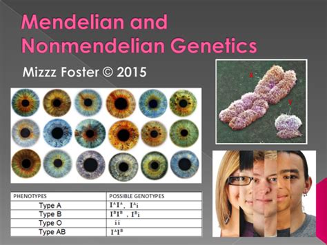 Genetics: Punnett Squares, Mendel, Non-Mendelian Power Point | Teaching Resources