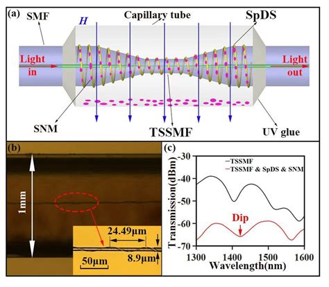 (a)Schematic of the magnetic field sensor. (b)Image of the magnetic ...