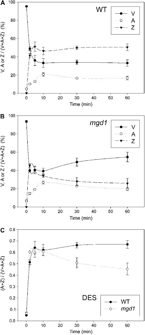 Xanthophyll cycle measurements. Dark-adapted plants (0 min) were moved ...