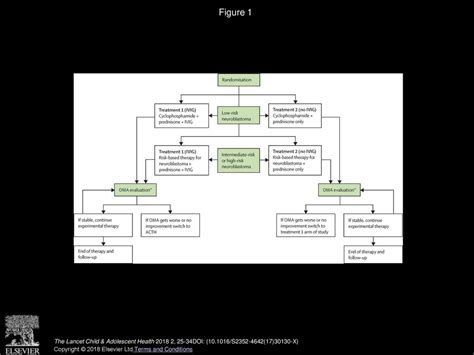 Intravenous immunoglobulin with prednisone and risk-adapted ...