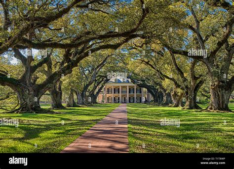 oak alley plantation Stock Photo - Alamy