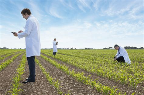 What You Need to Know About the Biotech Revolution in Agriculture | by Project Invested ...