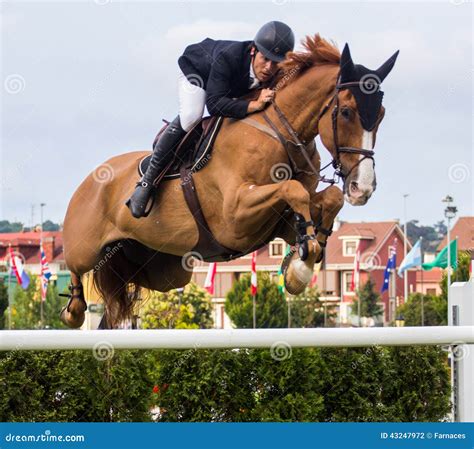 Horse jumping competition editorial photography. Image of derby - 43247972