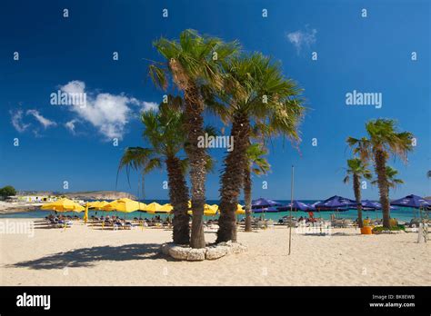 Palm beach of the Armier Bay, Malta, Europe Stock Photo - Alamy