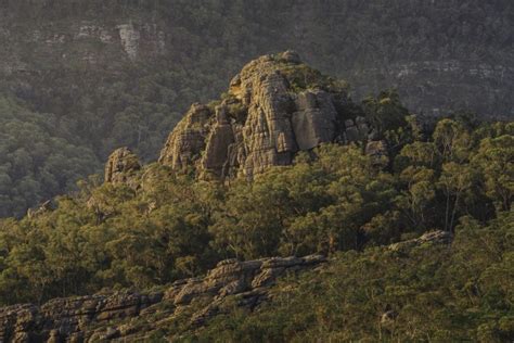 How to photograph Australia's bush (Part one) - Australian Photography