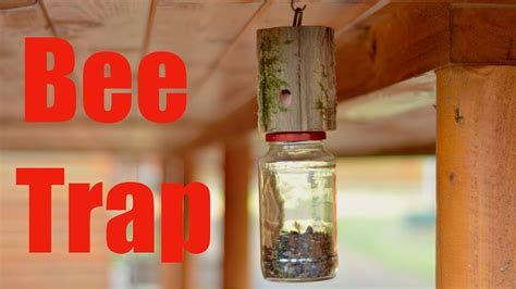 How to Make a Carpenter Bee Trap - 30 Minute DIY Project - YouTube