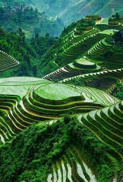 Rice terraces in cordillera Mountains, Philippines | Beautiful places nature, Scenery, Cool ...