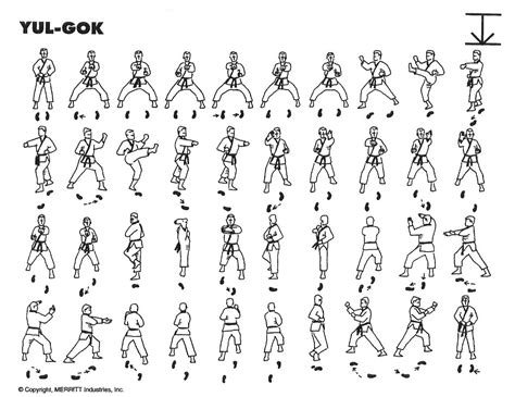 Taekwondo patterns Yul-Gok | Academy of martial arts, Martial arts, Martial