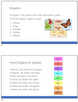 Linnaean Taxonomy by Science Creations Shop | TPT