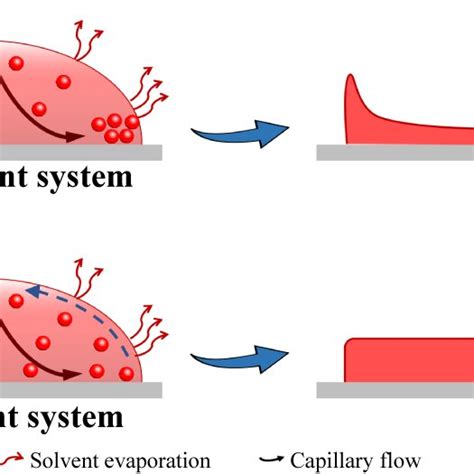 Schematic diagram of the droplet evaporation of (a) single solvent and ...