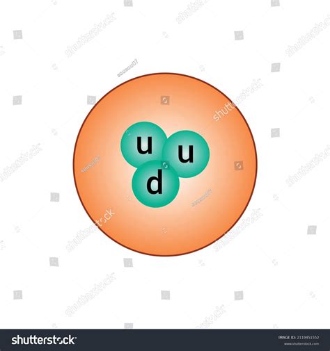 Proton Model Diagram Physics Stock Vector (Royalty Free) 2119451552 ...