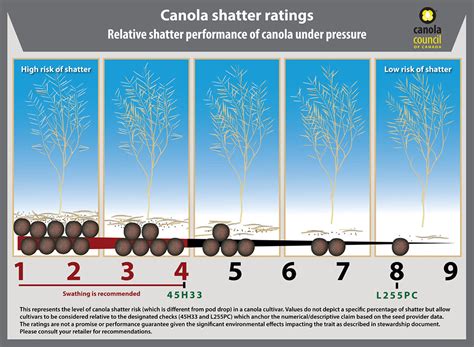 Canola Traits | Crop Science US