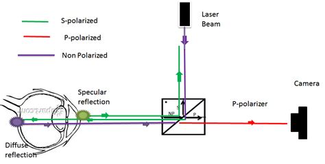 optics - Can a polarizing beam splitter cube be used to replace two ...