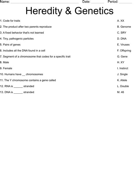 Heredity & Genetics Worksheet - WordMint