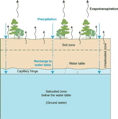 General Facts and Concepts about Ground Water