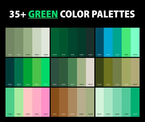 35+ Best Green Color Palettes with Names and Hex Codes – CreativeBooster