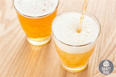 How To Make Non Alcoholic Beer at Home: Everything You Need To Know