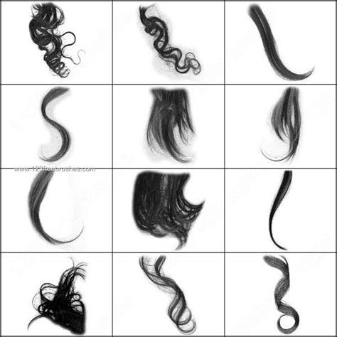 Curly Hair Brushes Photoshop | Photoshop Free Brushes | 123Freebrushes