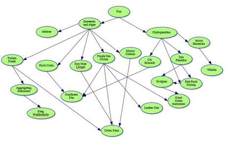 Food Webs/ Population Growth - Intertidal