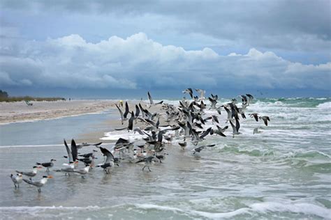 Clearwater Beach Water Temperature, Tides, Fishing Conditions?