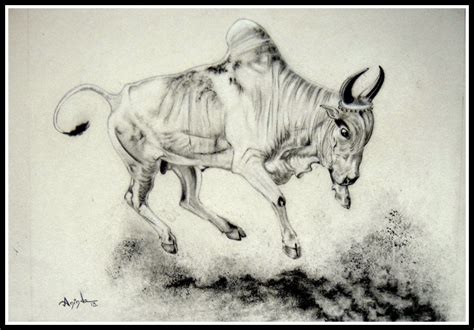 Pencil drawing on Paper, Subject: Animals and birds, Expressive and gestural style, One of a ...