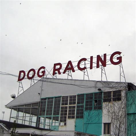 Hounded: 7 Abandoned Greyhound Racing Tracks | Urbanist