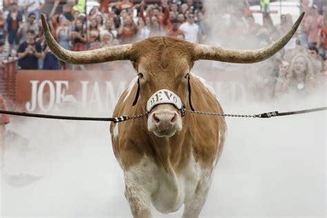 How UT's Famous Longhorn Mascot Got His Name