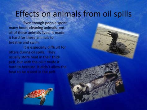 Oil Spills! By: Sarah King. - ppt download