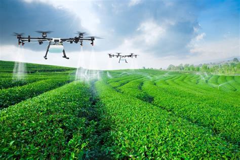How are Drones Changing the Future of Agriculture?