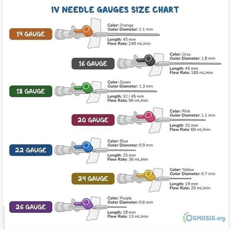 Needle Gauge Sizes Chart for Nursing Concepts