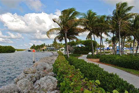 The Ocean Reef Club Marina Key Largo Yacht Charter Destination