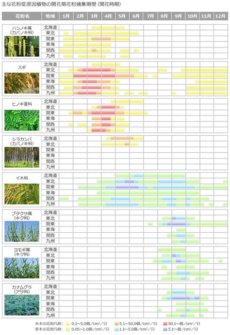 夏や秋も花粉症 | 【すぎたファミリークリニック】| 兵庫県三田市の小児科・内科【旧 はばこどもクリニック】