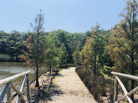 Bayard cutting arboretum Long Island state park | Eco Travel