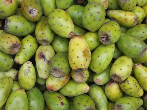 How to Harvest & Eat Prickly Pear Cactus Fruit