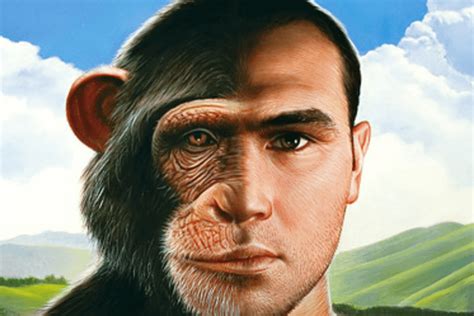 What differentiates humans from chimps: Differing DNA or different ...