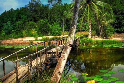 Pulau Ubin: Singapore's Island That Time Forgot