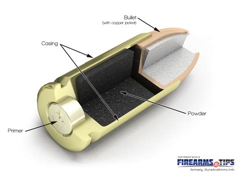 Science Facts: The Science of Firearms