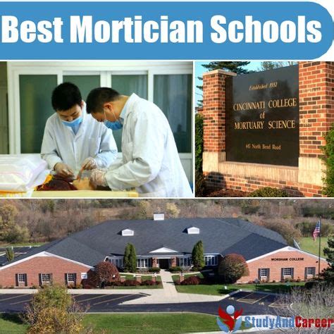 Best Mortician Schools in the US | Mortician, Funeral jokes, Future career