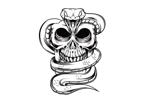 Snake Skull Drawing