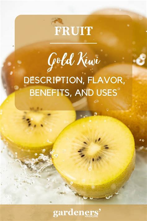 Gold Kiwi: Description, Flavor, Benefits, And Uses - Gardeners' Magazine