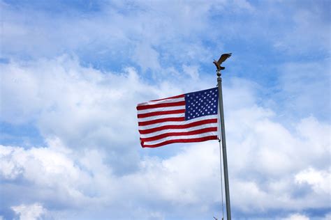 US Flag And Eagle Free Stock Photo - Public Domain Pictures