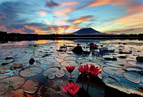 Sampaloc lake San Pablo Laguna | Manzara, Resim, Doğa