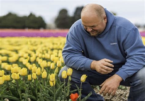 Dairy farmers in Washington are using innovative technology to make ...