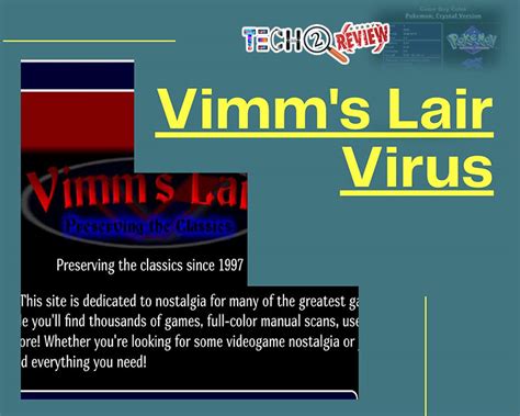 Vimm’s Lair Virus: What It Is And How To Use It?