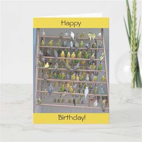 Happy Birthday from All of Us Parakeets Card | Zazzle.com